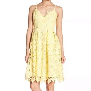 Love...Ady Lace Fit & Flare Dress -XS - NWT Yellow